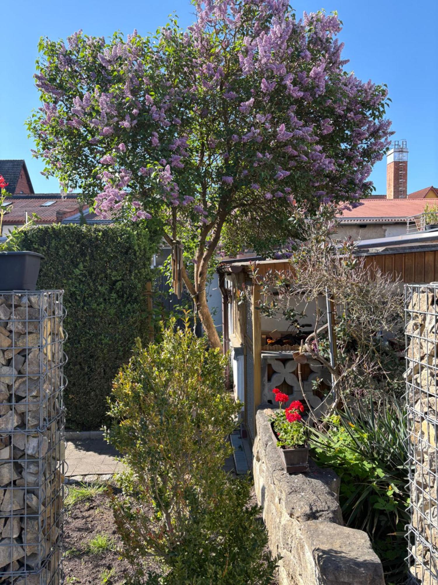 מאינינגן Haus Hannah מראה חיצוני תמונה